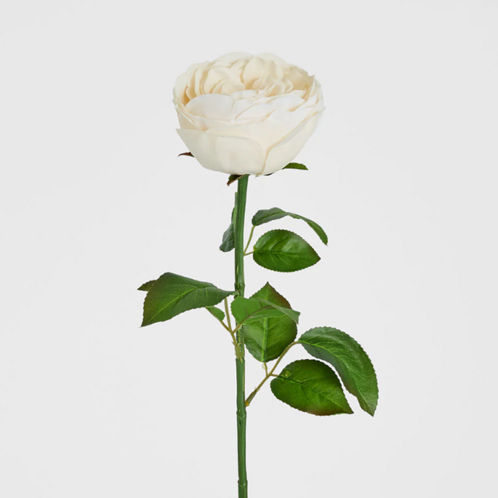 Real Touch Cabbage Rose 67cm White