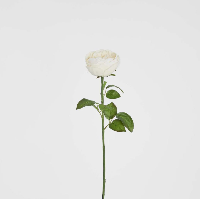 Real Touch Cabbage Rose 67cm White