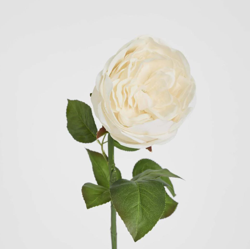 Real Touch Cabbage Rose 67cm White