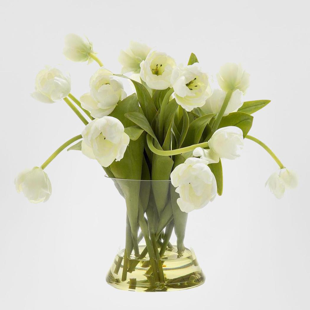 Tulip in Water in Glass Vase White