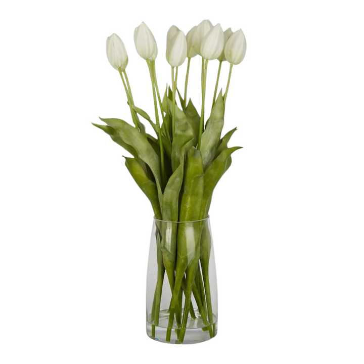 Tulip in Water Vase