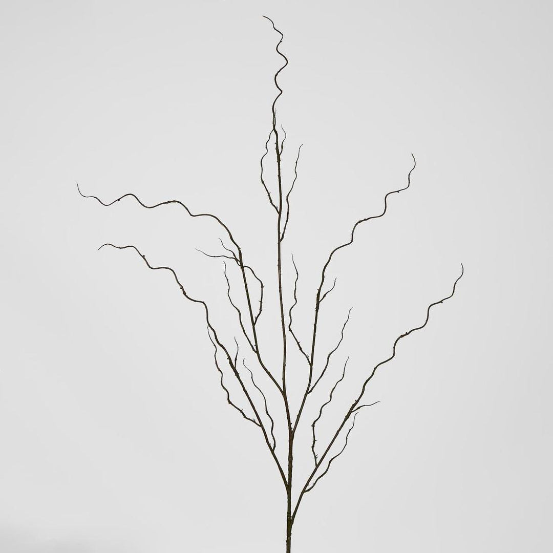Curly Twig