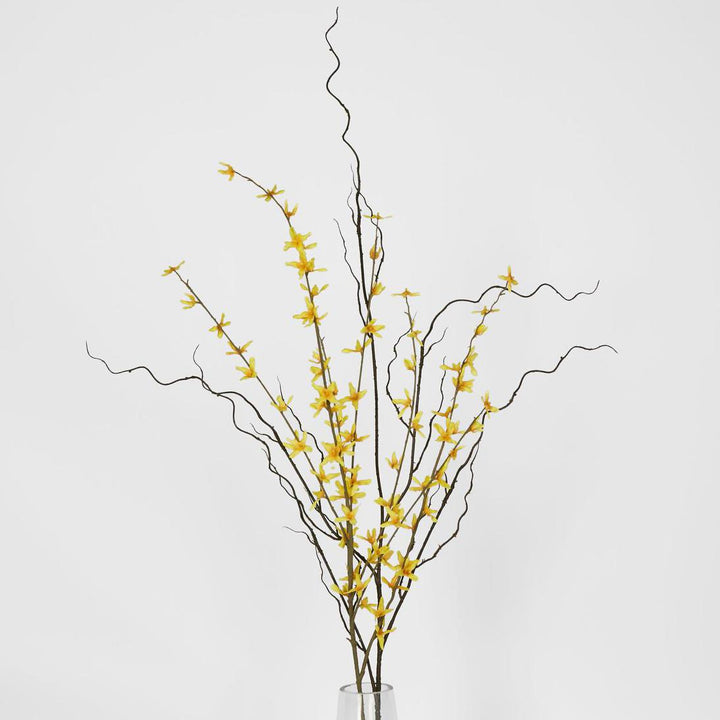 Curly Twig