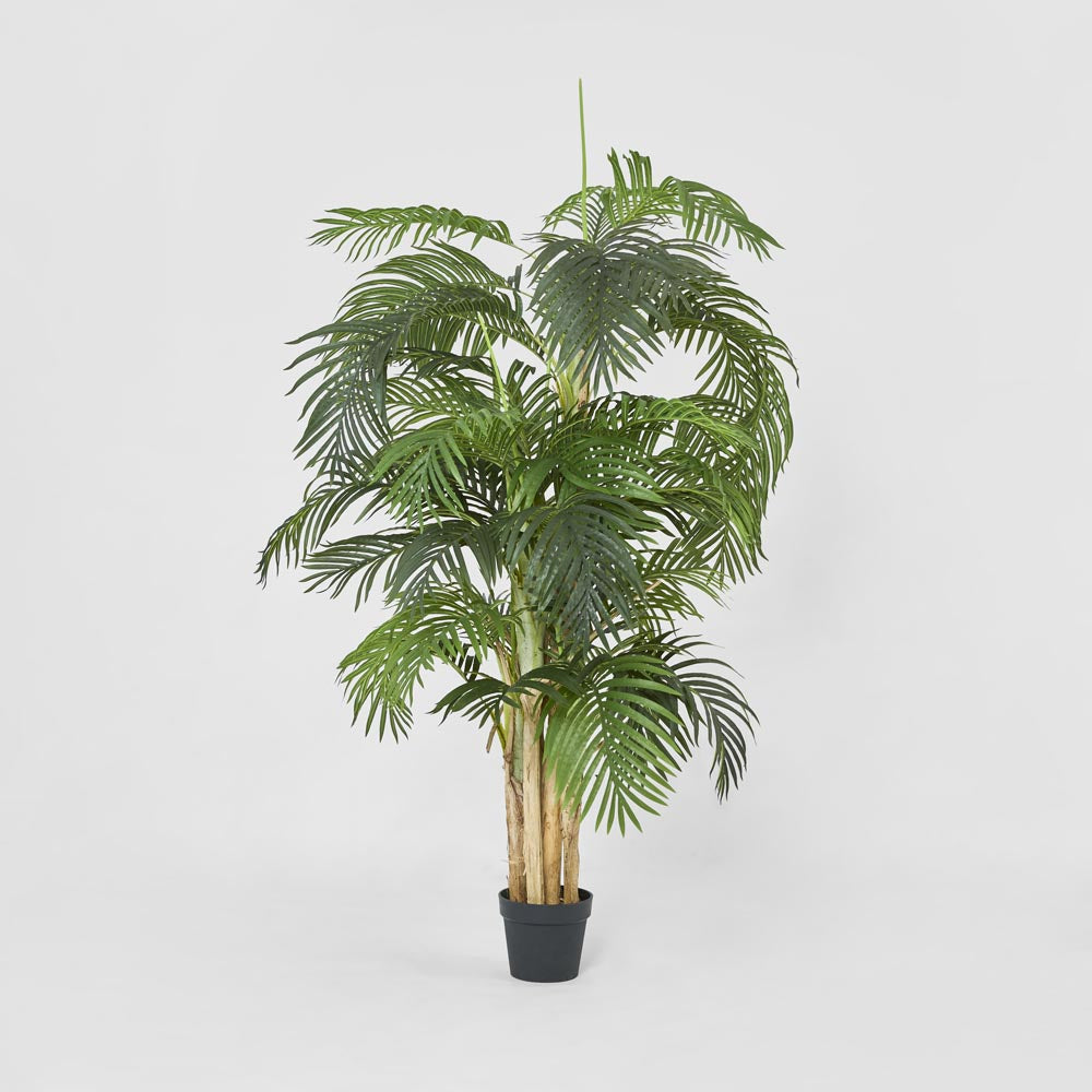 Palm Tree Real Touch 190cm