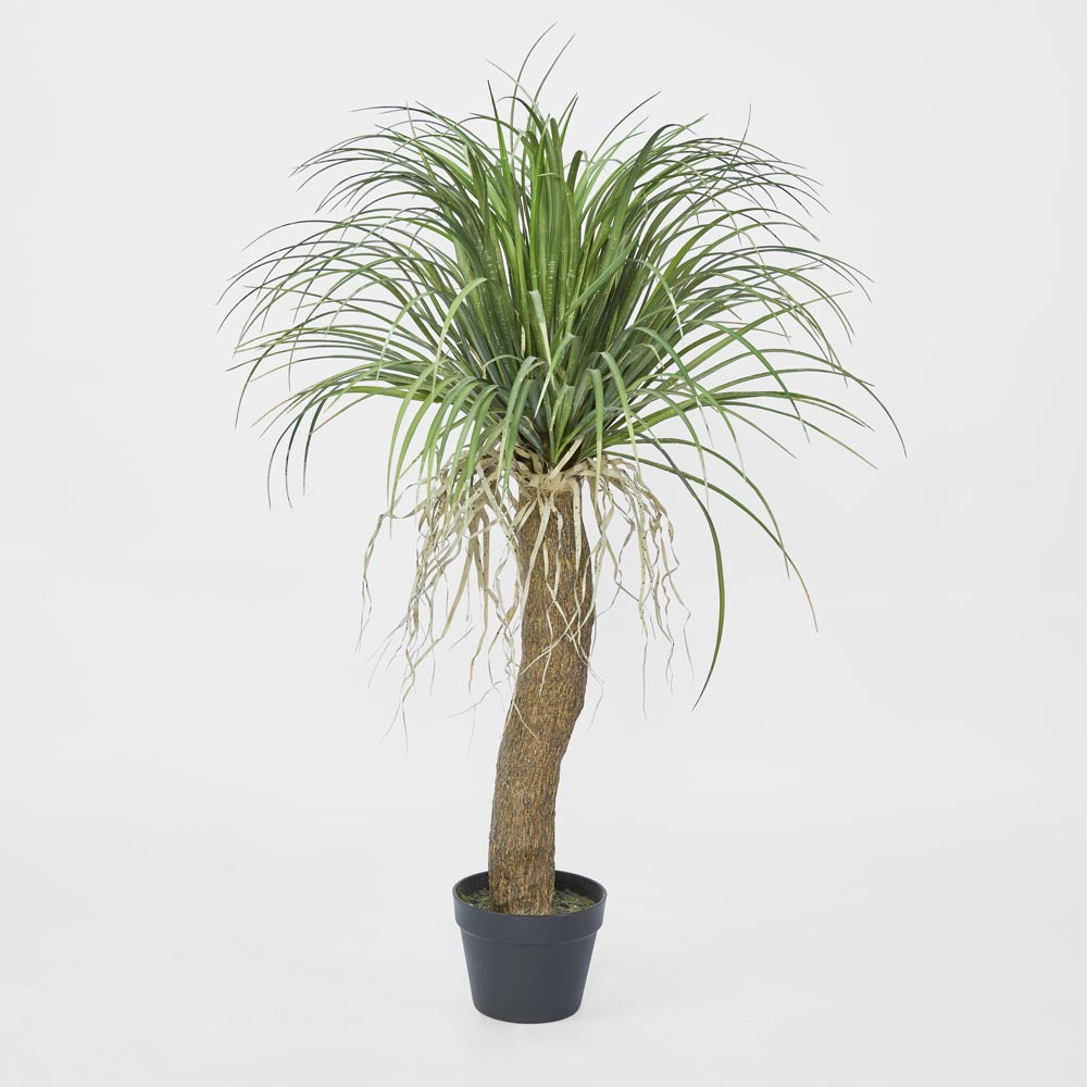 Grass Tree Small 1.1m