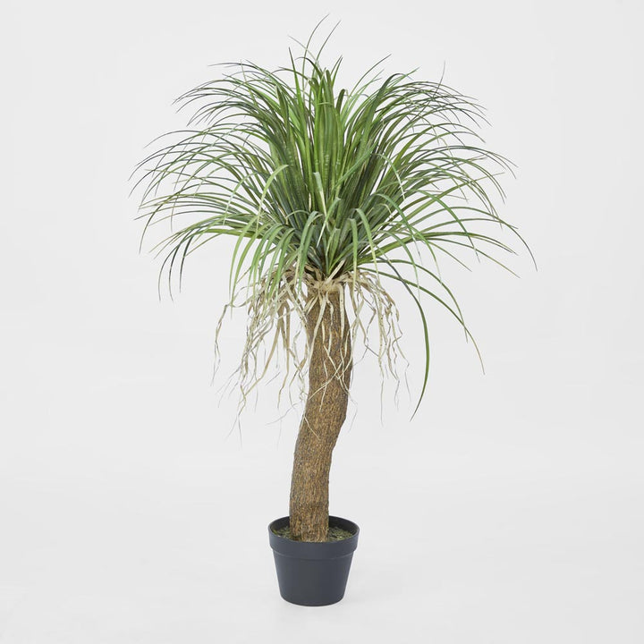 Grass Tree Small 1.1m