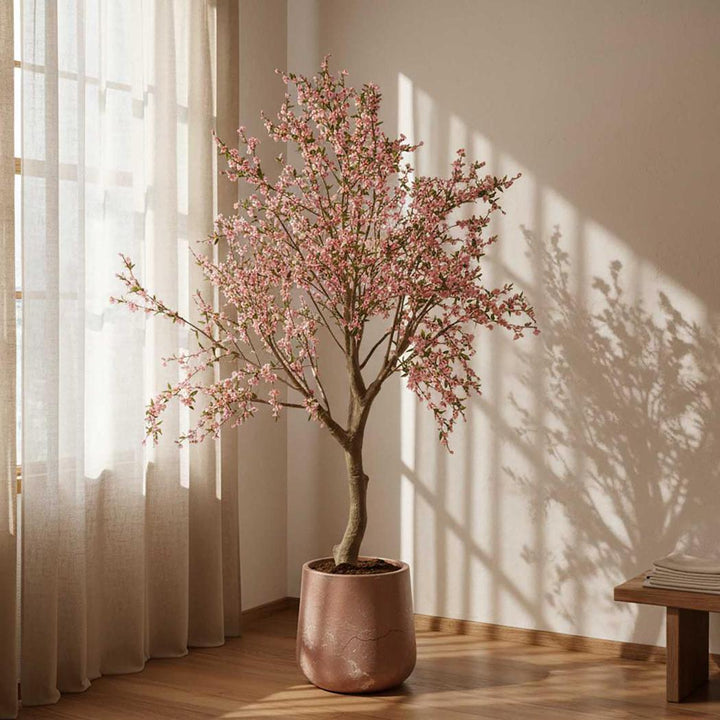 Giant Cherry Blossom Tree 2.4m