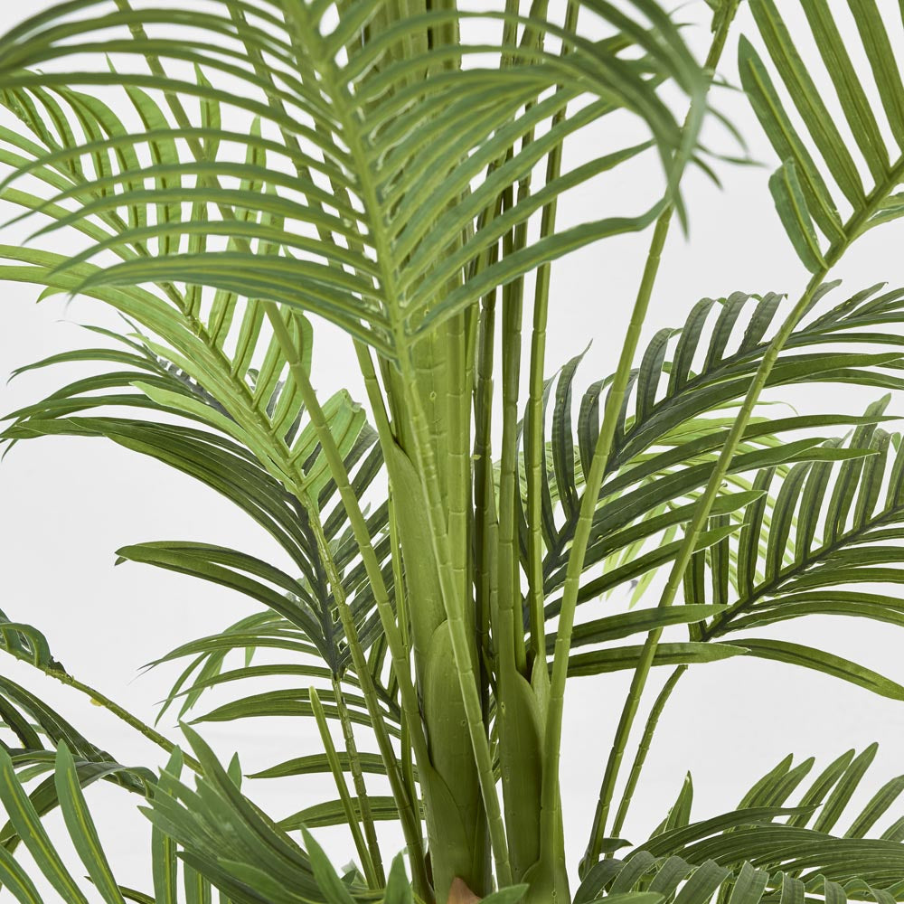 Palm Tree Real Touch In Black Plastic Pot