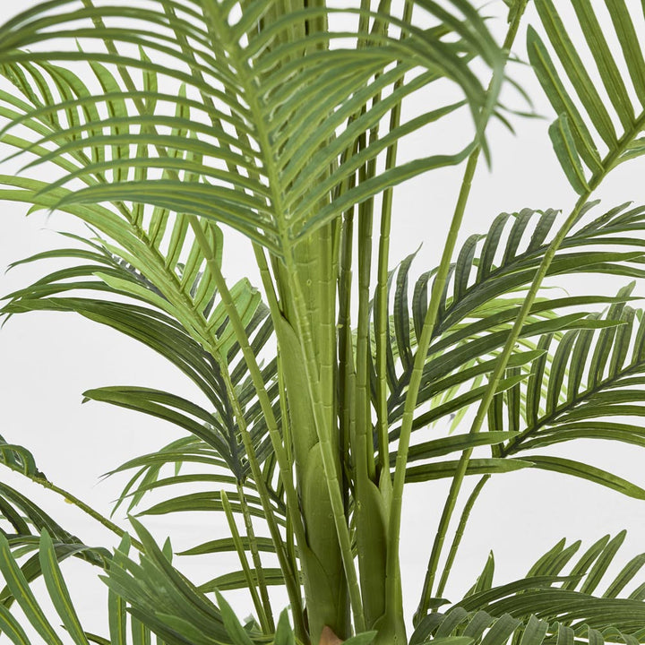 Palm Tree Real Touch In Black Plastic Pot