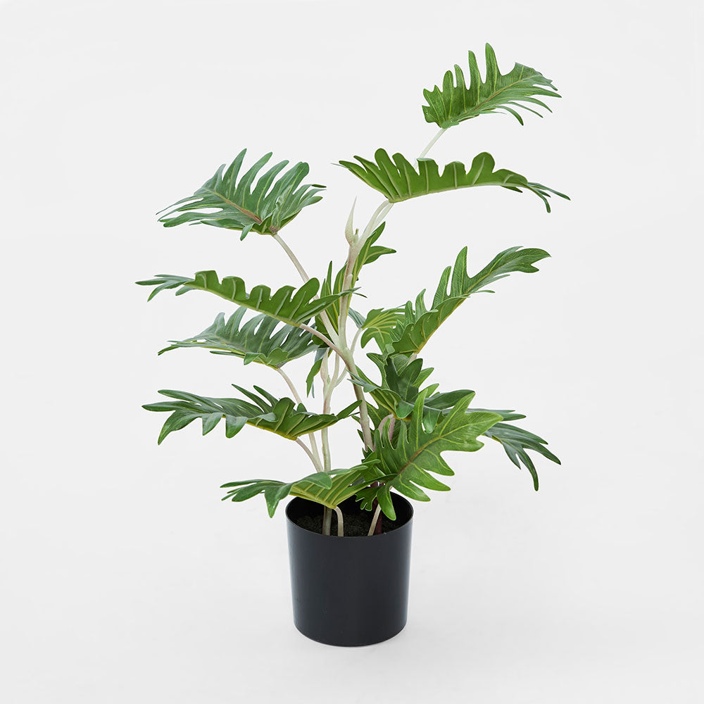 Real Touch Philo In Black Pot 50cm