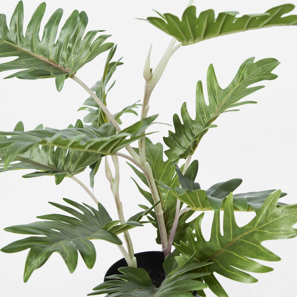 Real Touch Philo In Black Pot 50cm