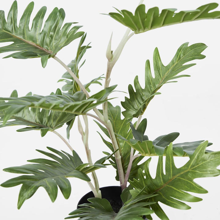 Real Touch Philo In Black Pot 50cm