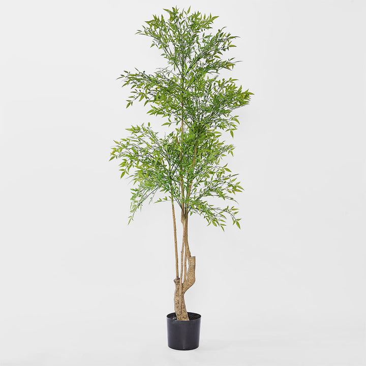 Nandina Tree 180 CM