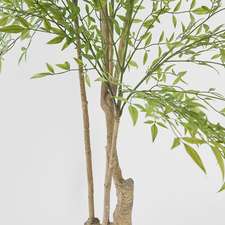 Nandina Tree 180 CM
