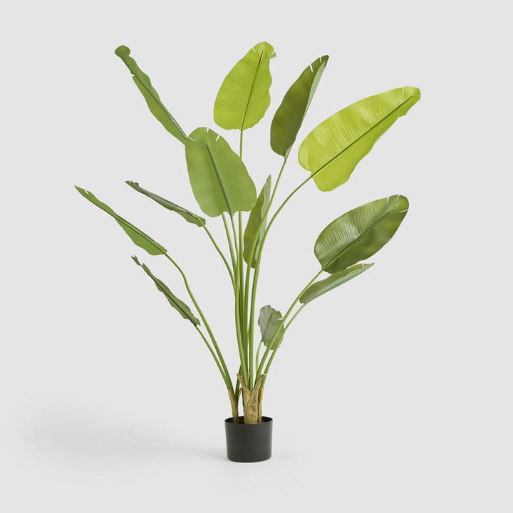 Bird of Paradise Real Touch 210cm