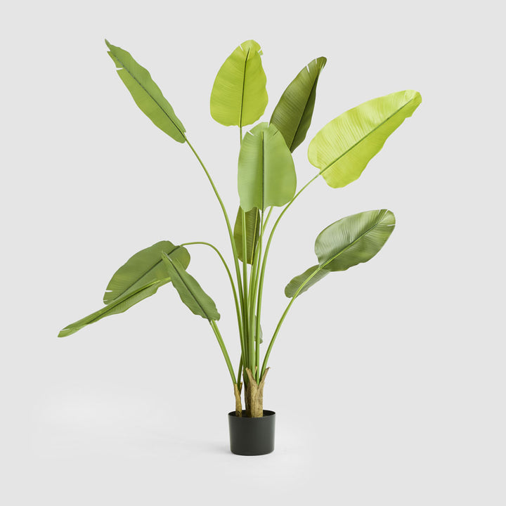 Bird of Paradise Real Touch 210cm