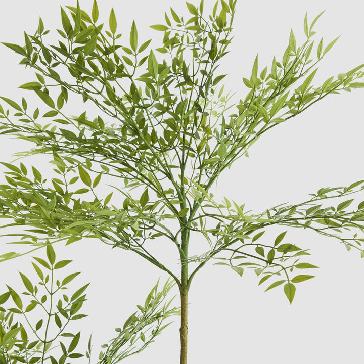 Green Nandina Tree 170cm