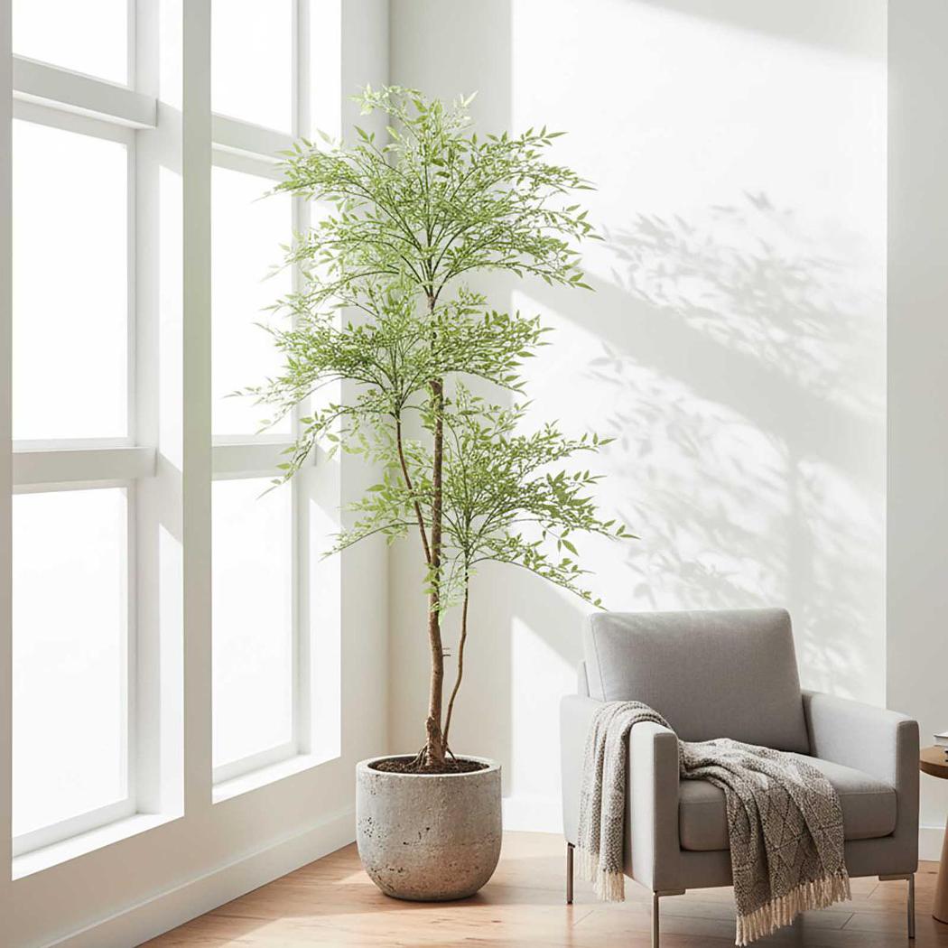 Green Nandina Tree 170cm