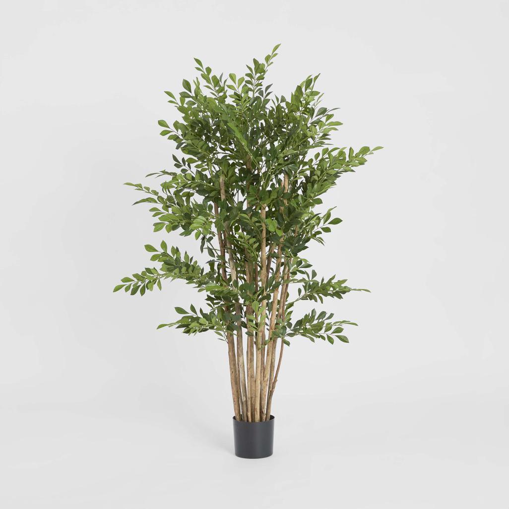 Eucalyptus Mini Leaf Tree 120cm Green