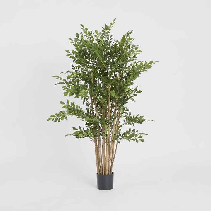 Eucalyptus Mini Leaf Tree 120cm Green