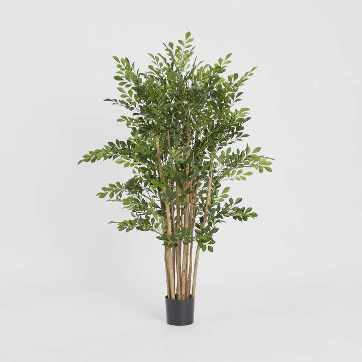 Eucalyptus Mini Leaf Tree 120cm Green