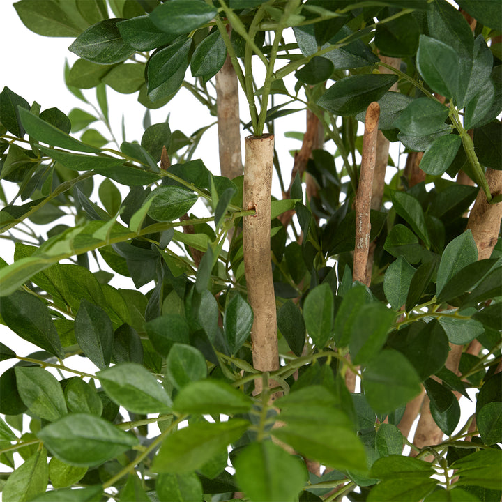 Eucalyptus Mini Leaf Tree 120cm Green