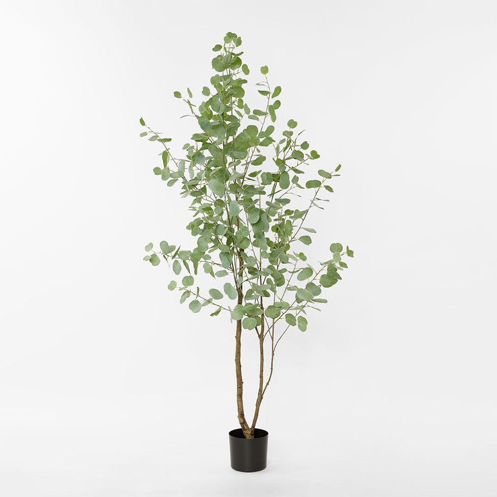 Eucalyptus Real Touch Tree