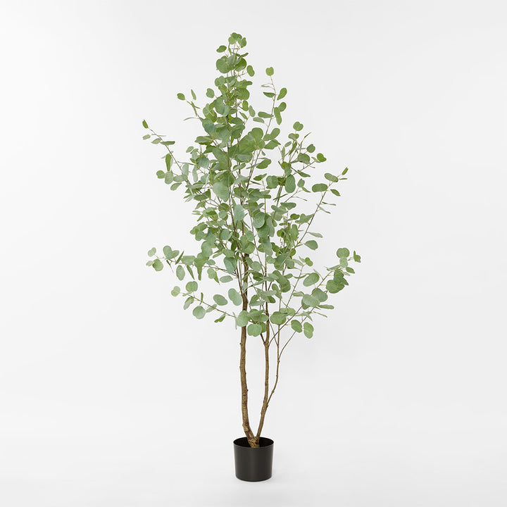 Eucalyptus Real Touch Tree