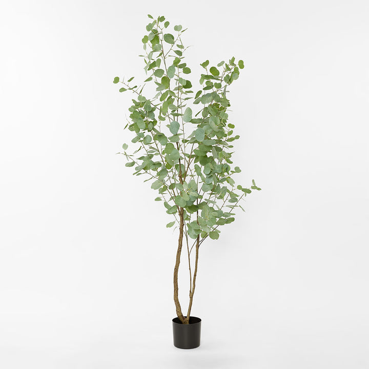 Eucalyptus Real Touch Tree
