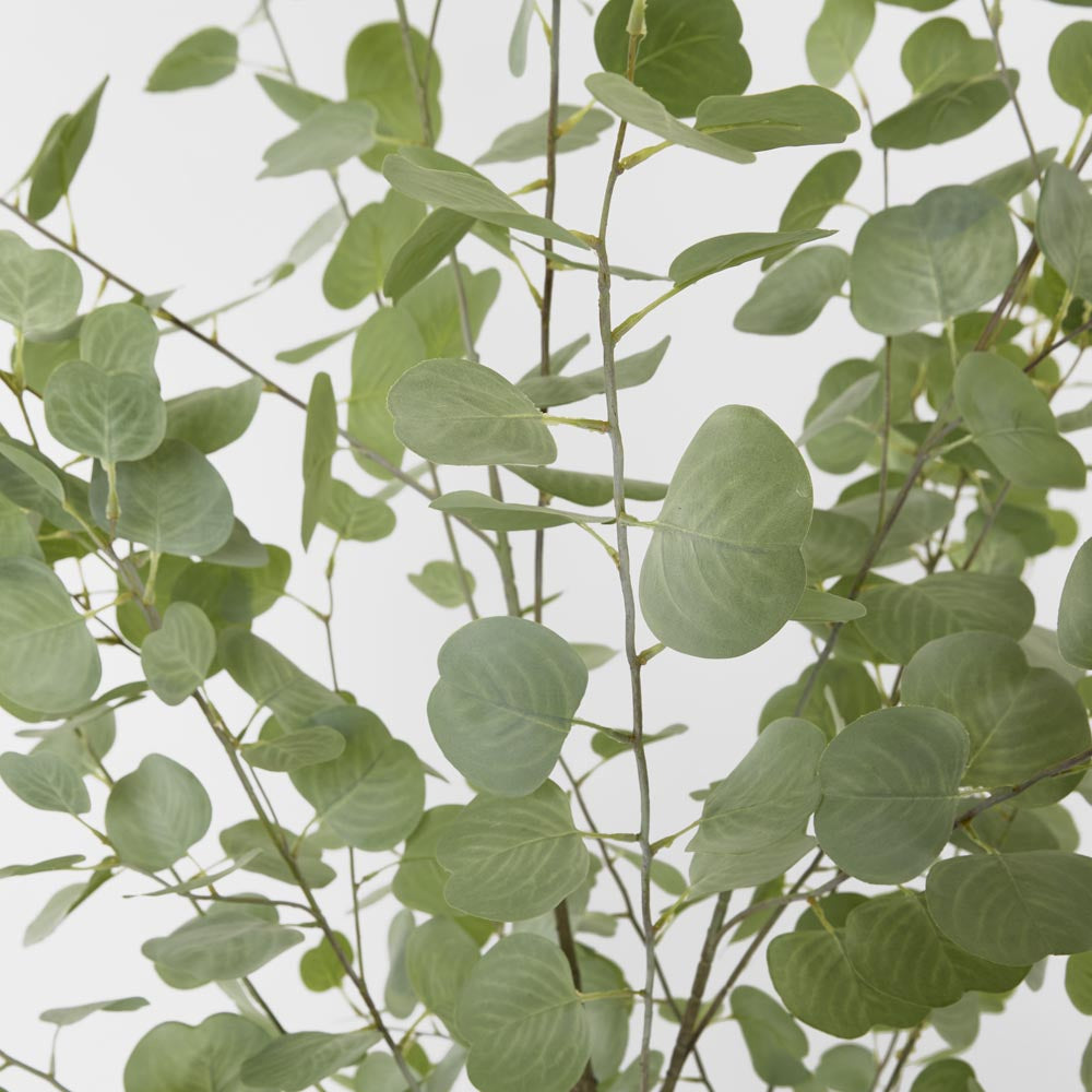 Eucalyptus Real Touch Tree