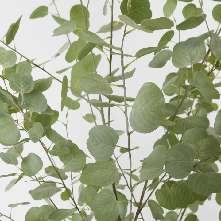 Eucalyptus Real Touch Tree