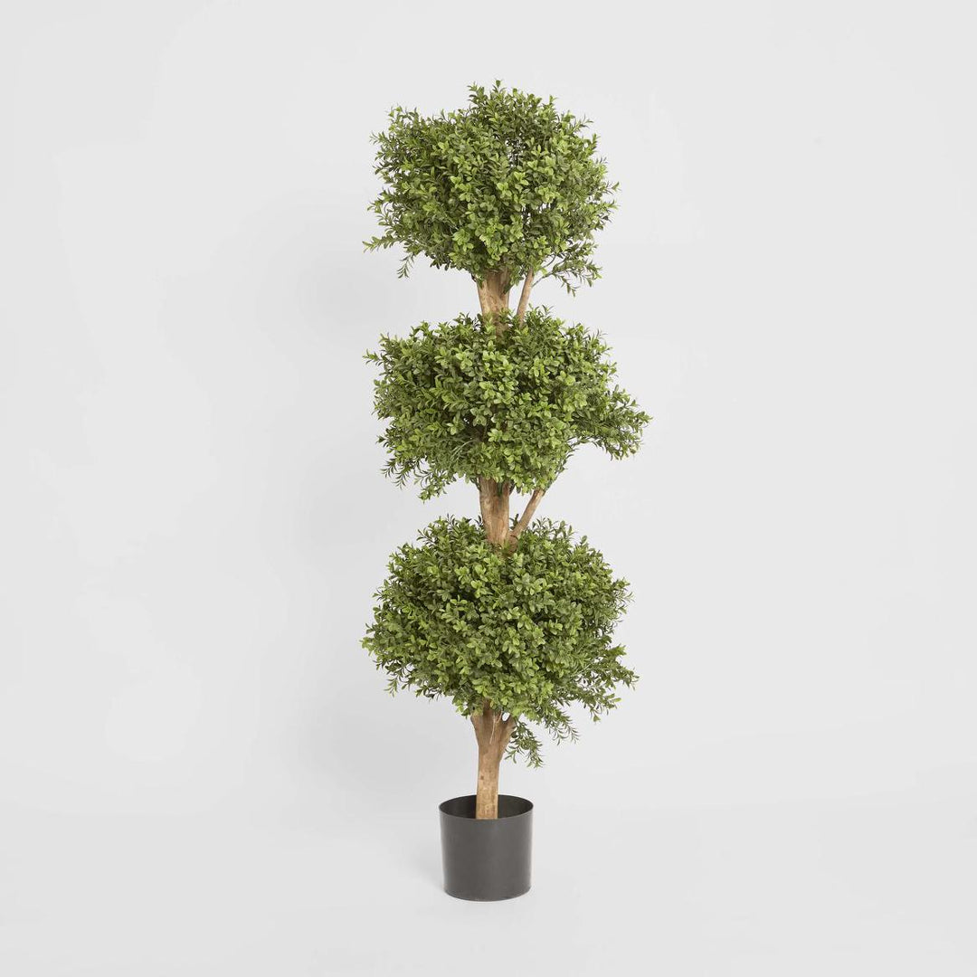 Boxwood Triple Ball Tree 1.2
