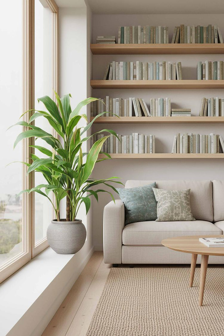 Cordyline Plant Green and Yellow 75cm