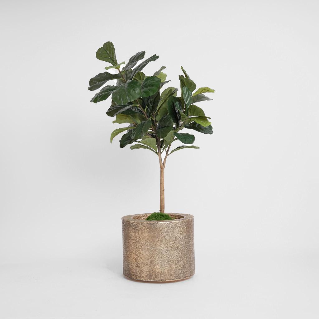 Fiddle Leaf Tree Real Touch 1.32m