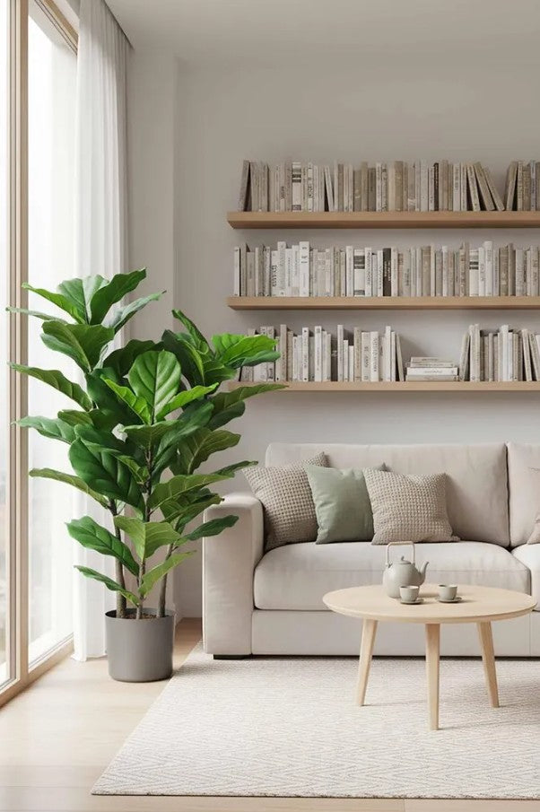 Fiddle Leaf Tree 1.33m