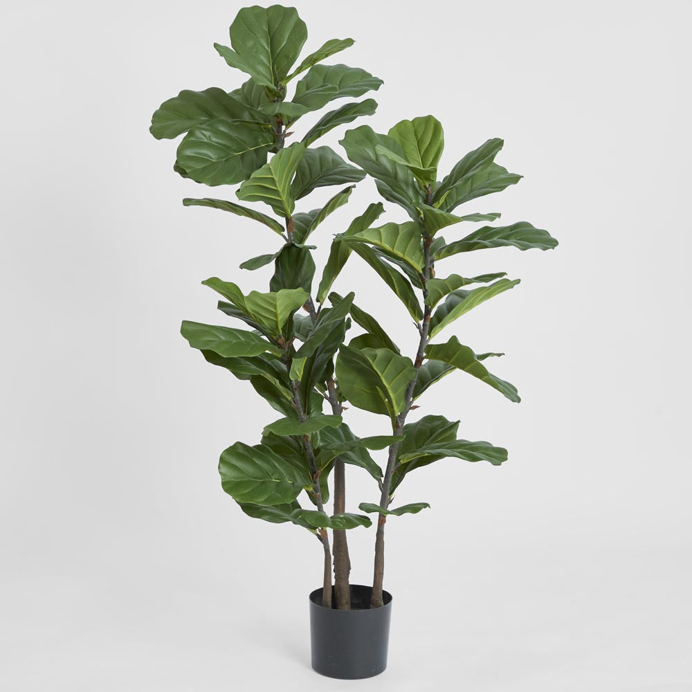 Fiddle Leaf Tree 1.33m