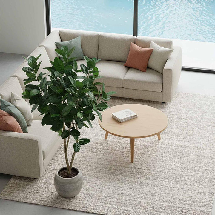 Fiddle Leaf Tree 2m
