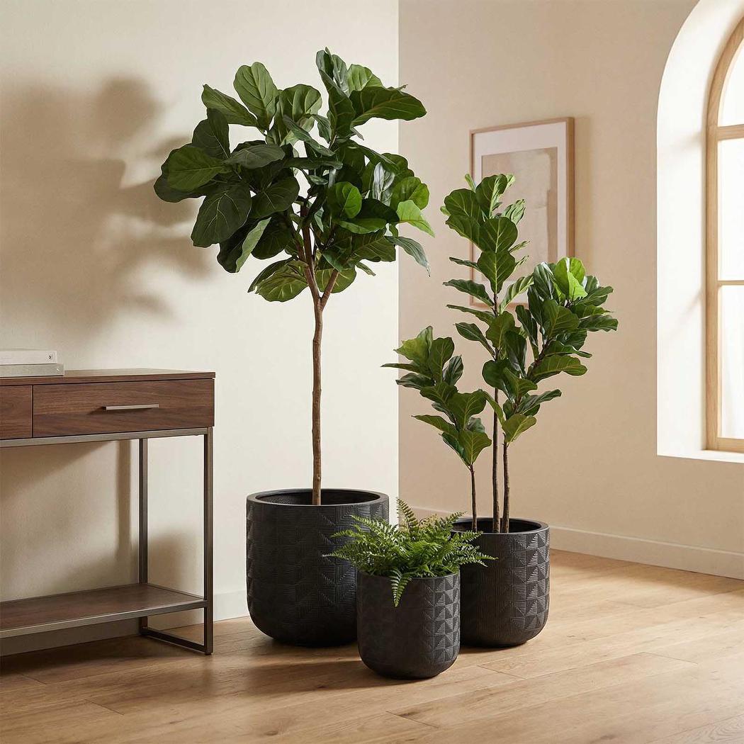 Fiddle Leaf Tree 1.6m