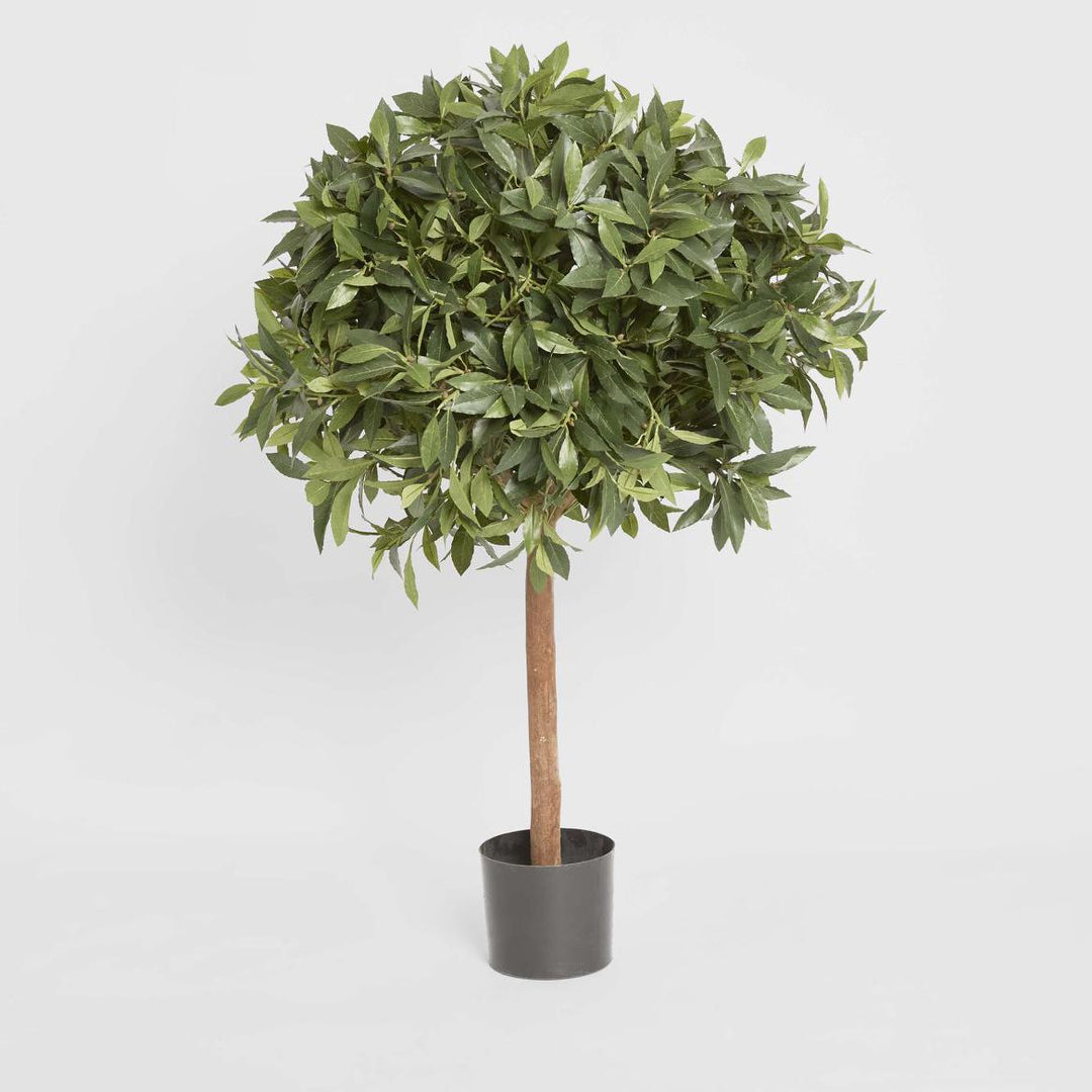 Laurel Ball Tree 1.1m