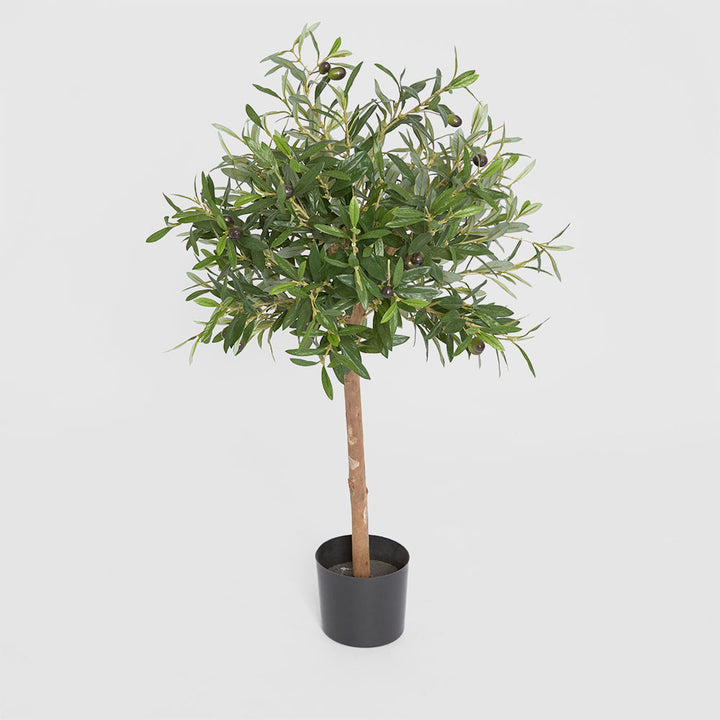 Olive Green Topping Tree 70cm