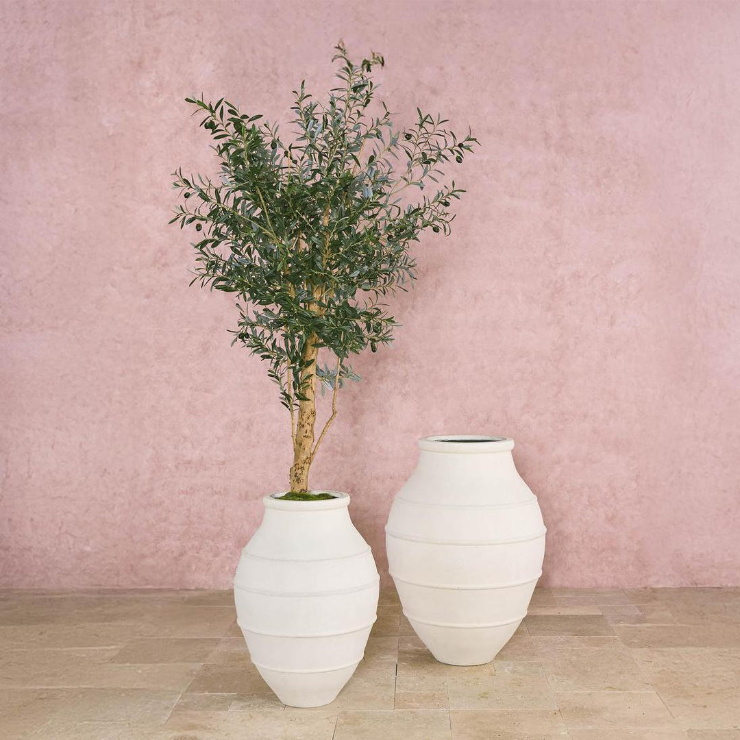 150cm Olive Tree