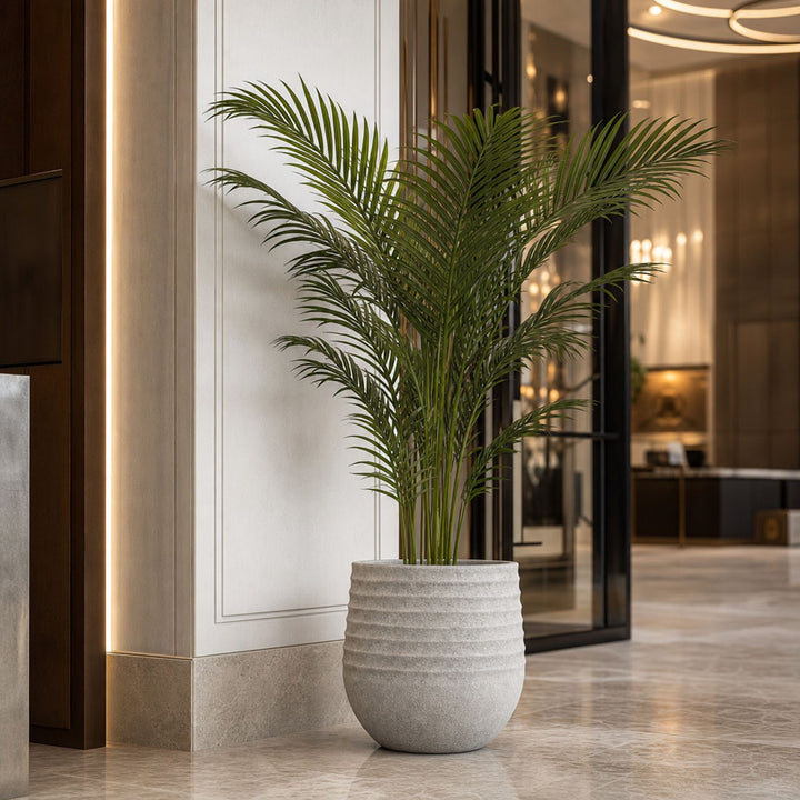 Palm Paradise in Pot 1m