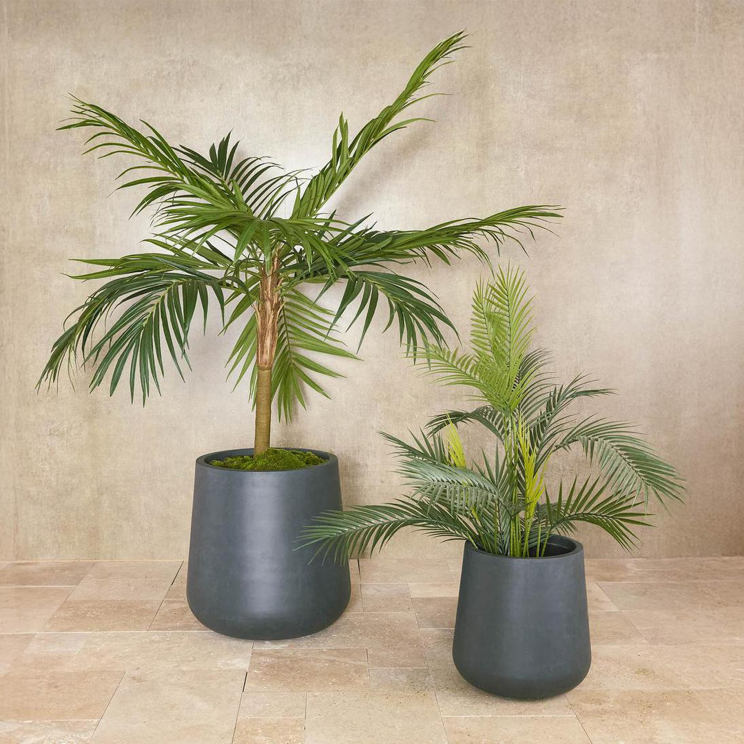 Palm Paradise in Pot 1m