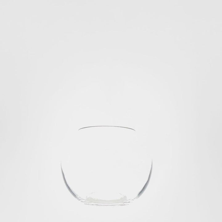 Fish Bowl Glass Vase 16cm