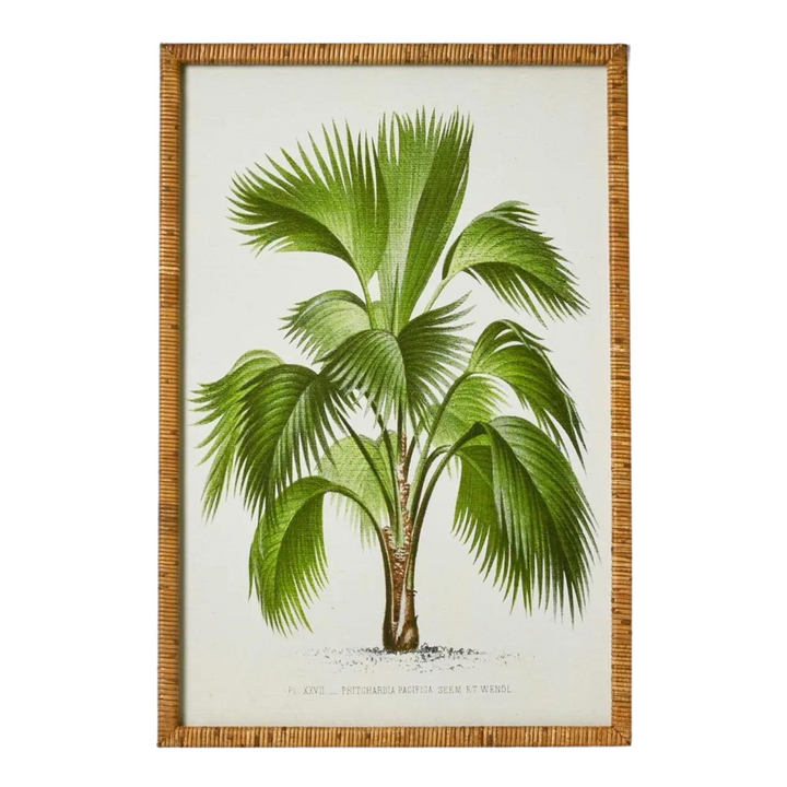 Palm Botanical Wall Art A