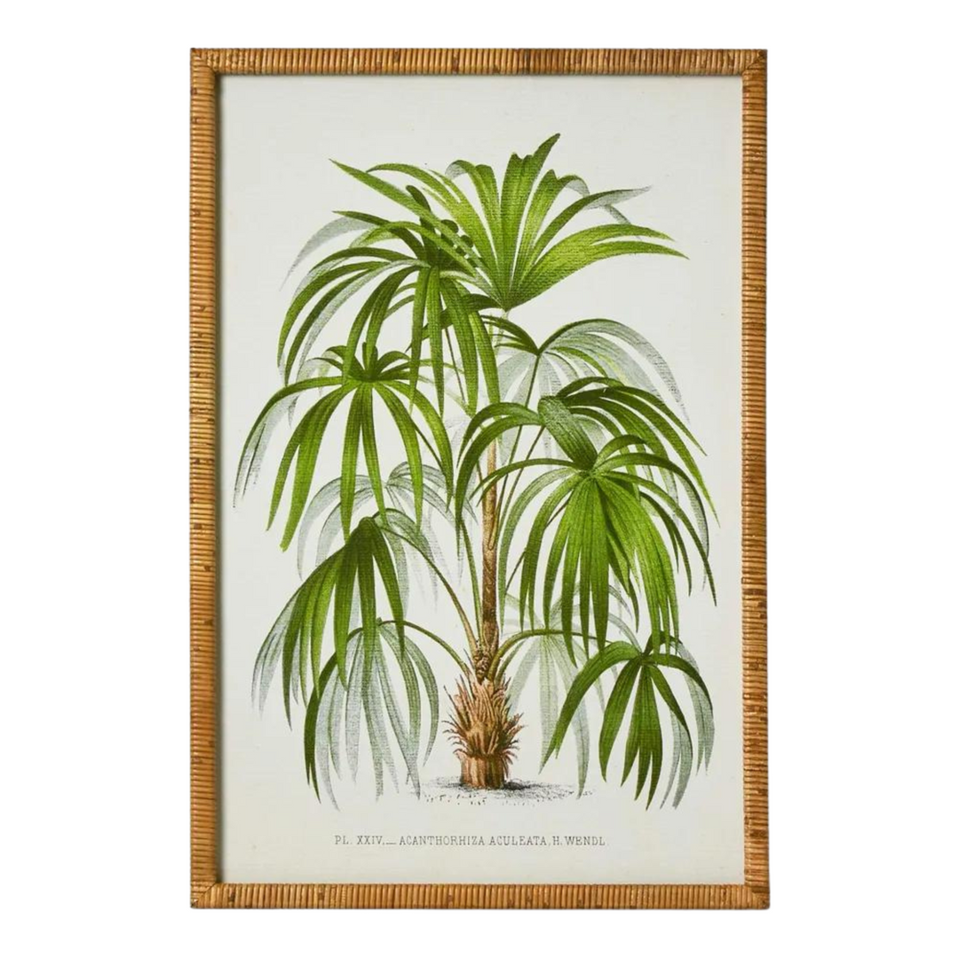 Palm Botanical Wall Art B