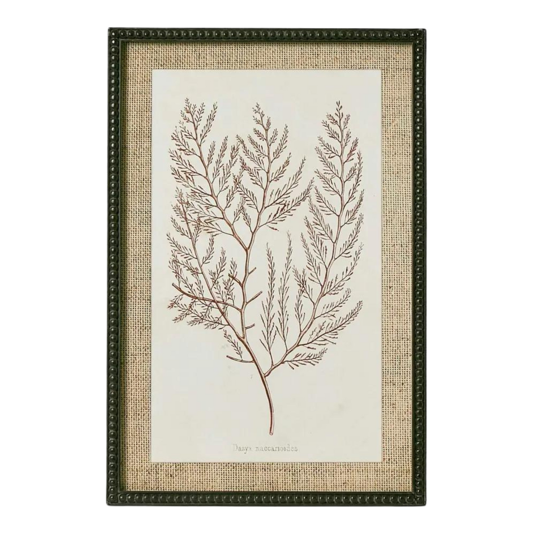 Sepia Coral Wall Art C