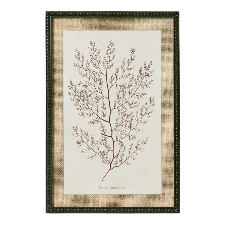 Sepia Coral Wall Art B