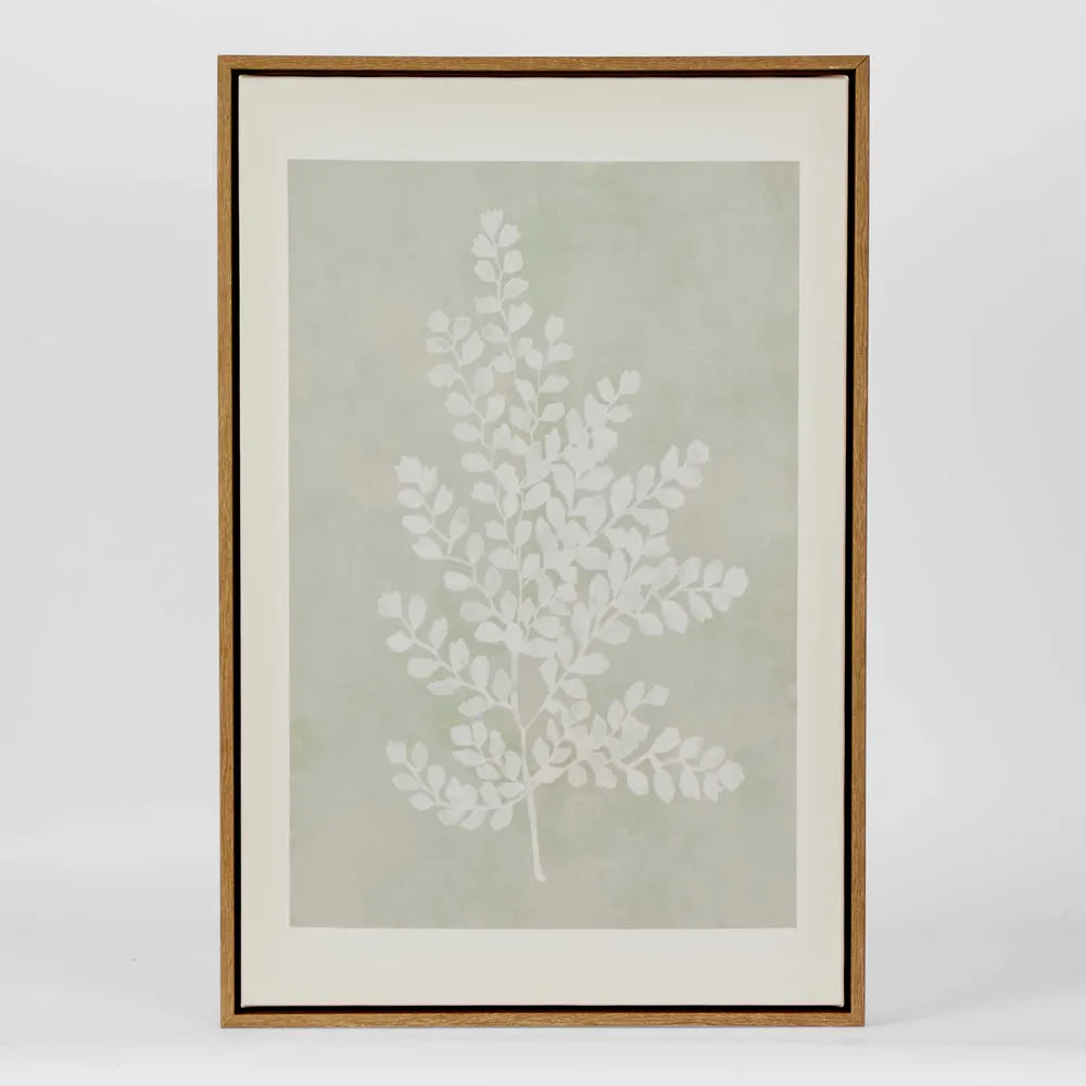 Ferns Wall Art Set 6