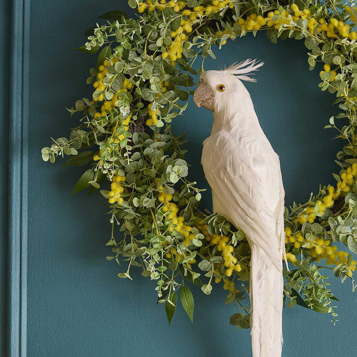 Crawford Glitter Beak Parrot White